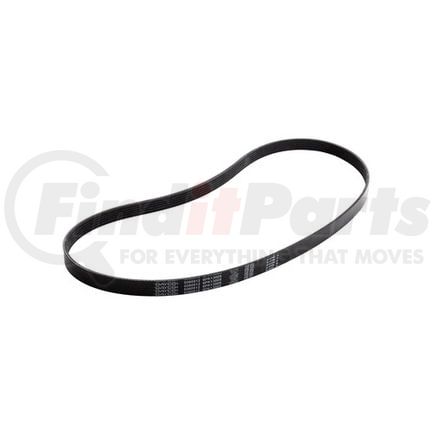5060512 by DAYCO - POLY RIB BELT, DAYCO