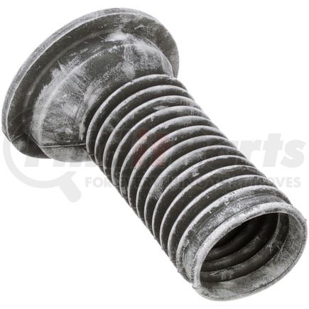 TC6483 by DELPHI - Suspension Coil Spring Seat