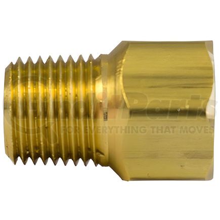 41512-WHD by TECTRAN - Pipe Fitting - Brass, 1/8 in. Male Thread, 1/8 in. Female Thread