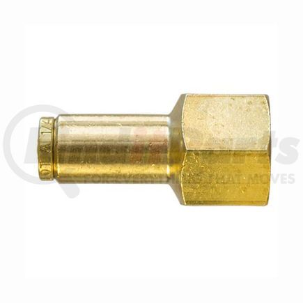 PL1366-4B by TECTRAN - DOT Female Push-Lock Brass Connector Fitting for Nylon Tubing, 1/4" Tube Size