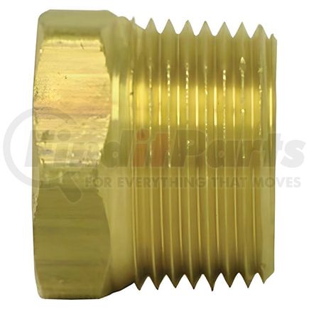 88174 by TECTRAN - Air Brake Pipe Head Plug - 1/8 inches Pipe Thread, Hex Head