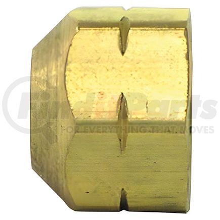 88063 by TECTRAN - 1/8 NPT CAP