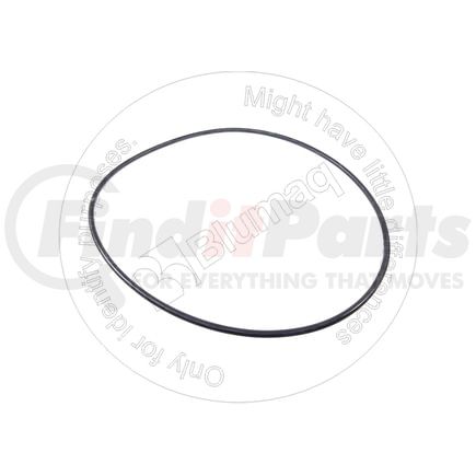 DP4812104405 by BLUMAQ - SEAL O-RING