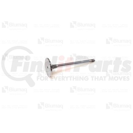 BG05712887 by BLUMAQ - INLET VALVE