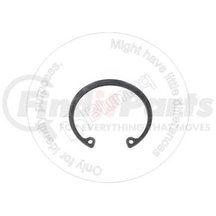 BH00791555 by BLUMAQ - SEAL RING