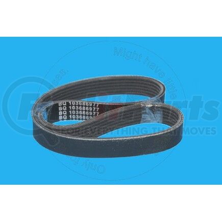 6PK0605 by BLUMAQ - RIBBED BELT