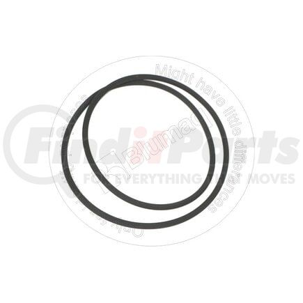 CS153317975 by BLUMAQ - Seal O-ring