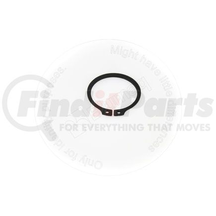 CS190003933351 by BLUMAQ - RING