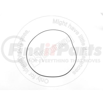 CS426172A1 by BLUMAQ - SEAL O-RING