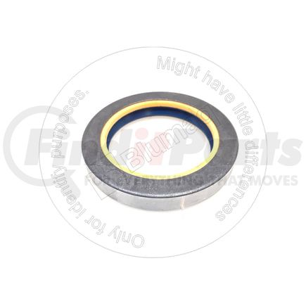 CS81873C1 by BLUMAQ - RING