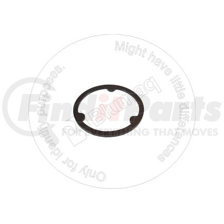 CA134197 by BLUMAQ - WASHER