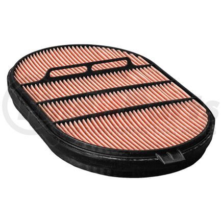 P607557 by DONALDSON - Safety Oval Air Filter