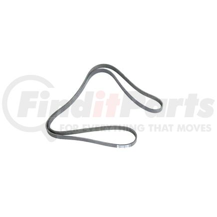 53013905AC by MOPAR - Serpentine Belt