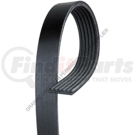 GT  4060956 by FREIGHTLINER - Accessory Drive Belt - Micro V Belt