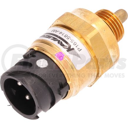 FT0415 by OMEGA ENVIRONMENTAL TECHNOLOGIES - Fuel Pressure Sensor