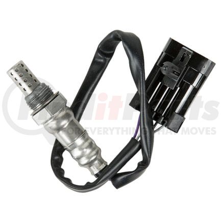 ES20135 by DELPHI - Oxygen Sensor