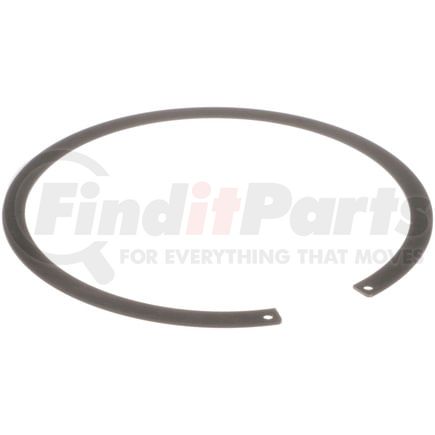 FA10022 by DELPHI - Fuel Tank Lock Ring