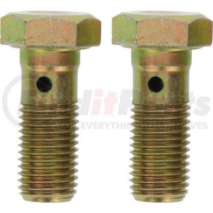 117.99017 by CENTRIC - Centric Disc Brake Hardware Kit; Includes Bag of 2 Banjo Bolts