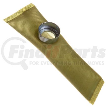 FS0022 by DELPHI - Fuel Pump Strainer