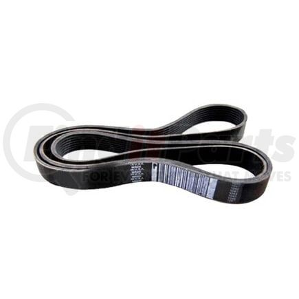 3176460 by HYUNDAI CONSTRUCTION EQUIP. - BELT  V RIBBED