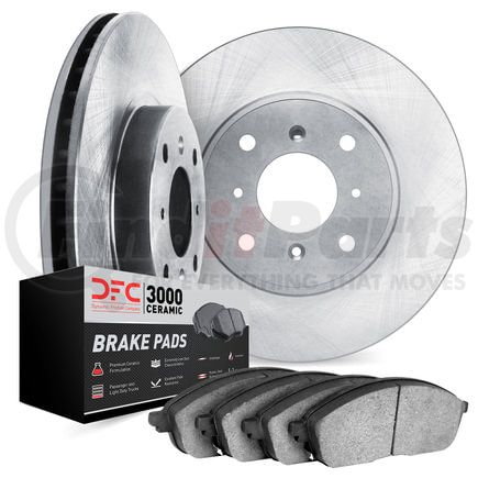 6302-31006 by DYNAMIC FRICTION COMPANY - Brake Rotor with 3000 Ceramic Brake Pads