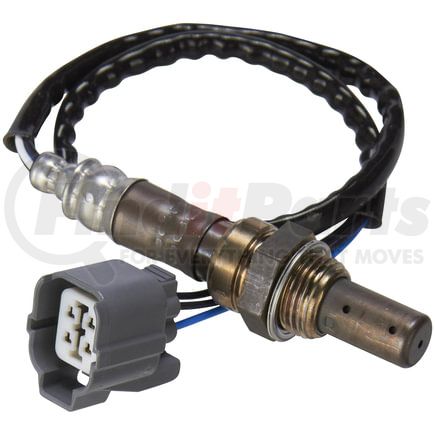 OS5302 by SPECTRA PREMIUM - Oxygen Sensor