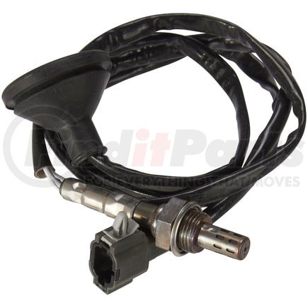 OS5348 by SPECTRA PREMIUM - Oxygen Sensor