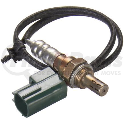 OS5462 by SPECTRA PREMIUM - Oxygen Sensor