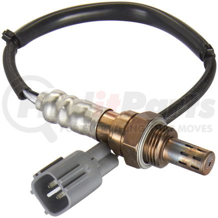 OS5546 by SPECTRA PREMIUM - Oxygen Sensor