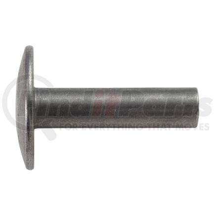 995-00114 by FLEET ENGINEERS - Rivet, 1, Stainless Steel, Pack of 400