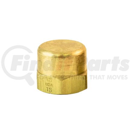 S213-2C by TRAMEC SLOAN - Pipe Cap, 1/8, Carton Pack