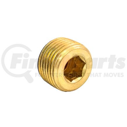 S219P-2C by TRAMEC SLOAN - Air Brake Fitting - 1/8 Inch Countersunk Hex Head Plug