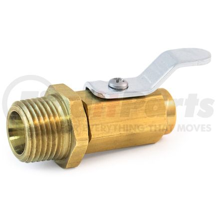 SV601-8 by TRAMEC SLOAN - Male Pipe Groung Plug Valve, 1/2