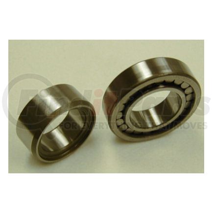 MU1309-CX by SKF - Cylindrical Roller Bearing