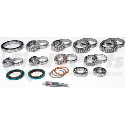 SDK200-FA by SKF - Differential Rebuild Kit