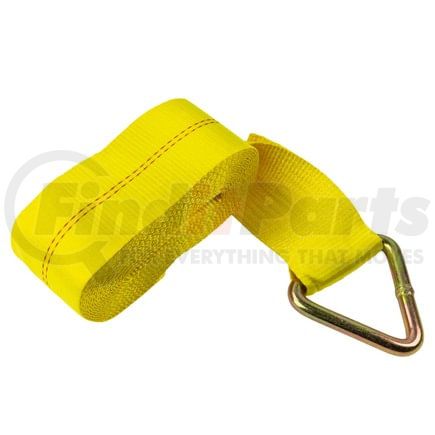 WA140D430DR by WORLD AMERICAN - Delta Ring Winch Strap