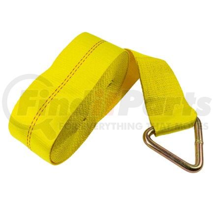 WA140D450DR by WORLD AMERICAN - Delta Ring Winch Strap