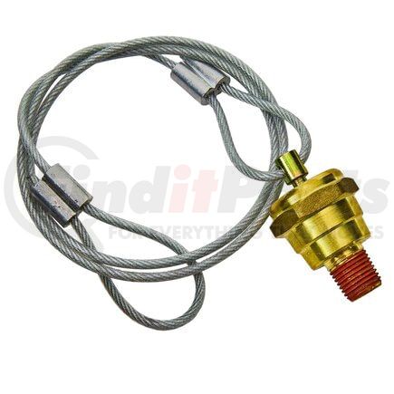 WA34669C by WORLD AMERICAN - DRAIN VALVE - AUTO DRAIN