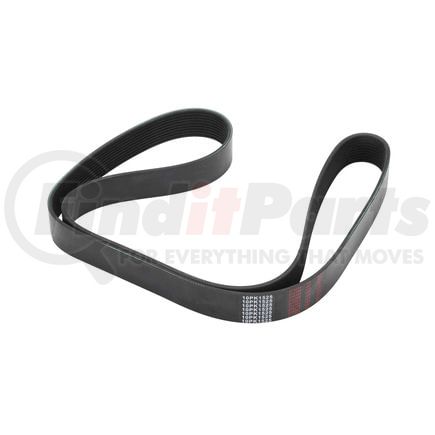 WA912-03-1809 by WORLD AMERICAN - 10 RIB BELT