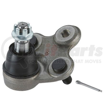 K500103 by MOOG - MOOG K500103 Suspension Ball Joint Front Lower