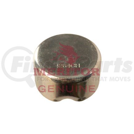 1199Z4264 by MERITOR - SLIDE PIN CAP