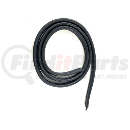 G3166 by FAIRCHILD - Door Seal - Rear on Body, RH and LH, for 2003-2009 GMC Hummer H2