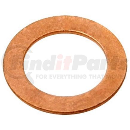 Raybestos G1243 Banjo Washer Raybestos R-Line Banjo Bolt Washer