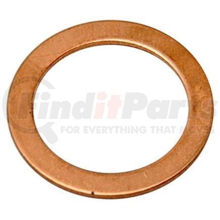 Raybestos G1246-2 Banjo Washer Raybestos R-Line Banjo Bolt Washer