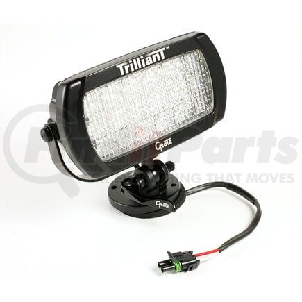 01636880 by GROTE - FORWARD LIGHTING, TR