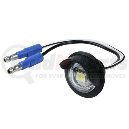 607213 by GROTE - LED LICENSE LAMP BULK