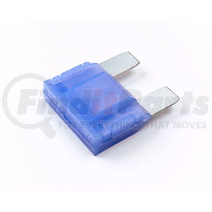 82ANX60A by GROTE - CL12-MAXI 60AM