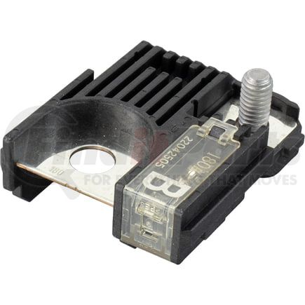 48-10028 by OMEGA ENVIRONMENTAL TECHNOLOGIES - Main Fuse