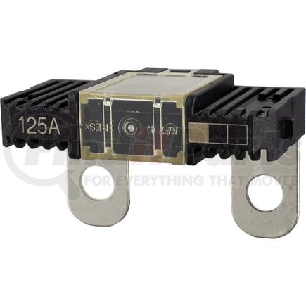 48-10032 by OMEGA ENVIRONMENTAL TECHNOLOGIES - Multi Fuse Block