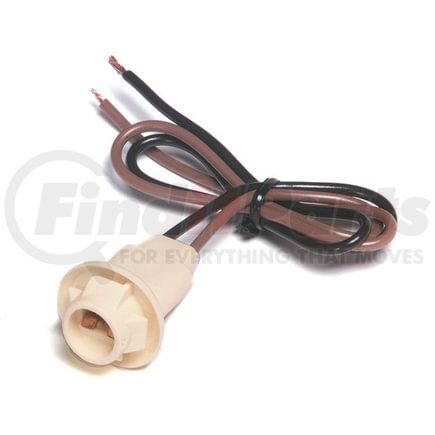 841008 by GROTE - SOCKET